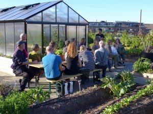 Rooftop-UrbanFarm