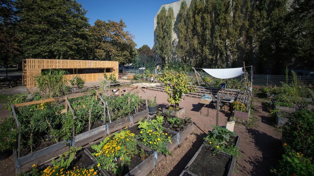 Müll einsparen im Gemeinschaftsgarten