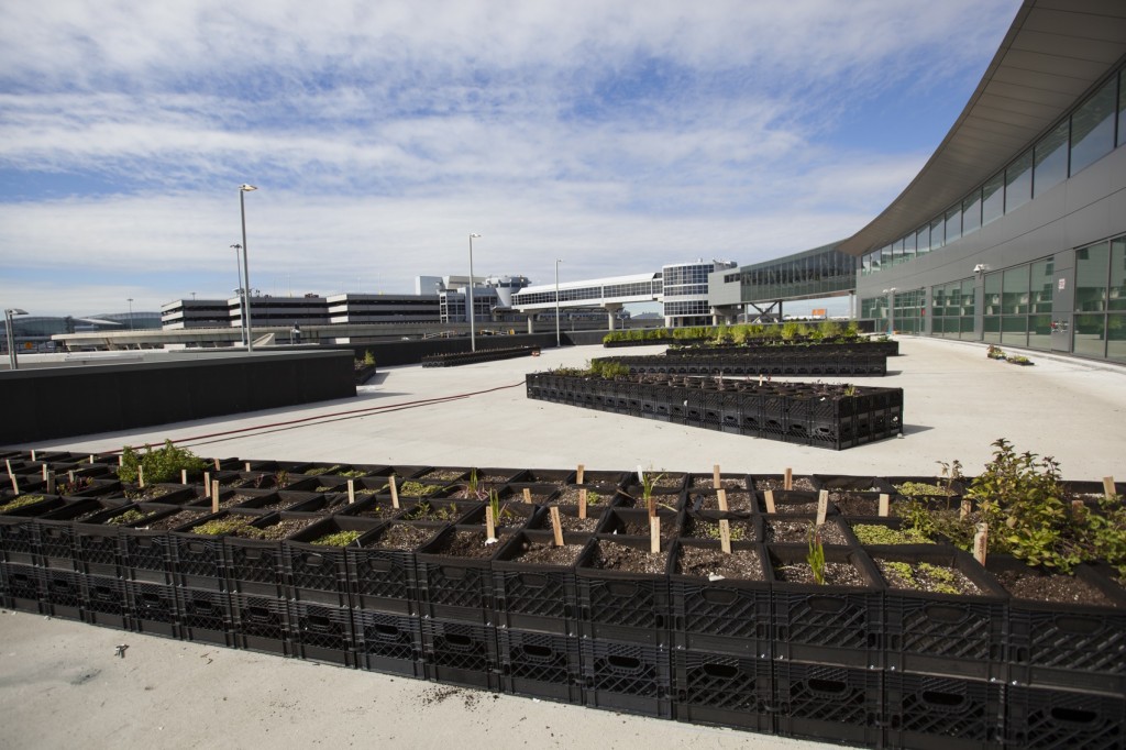 jb_farm_4