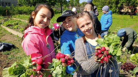 Urbane Landwirtschaft rein ins Grüne City Farm