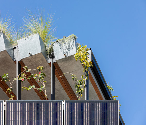 Aquaponic-System, Dach als Gemüsebeet