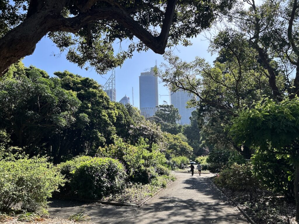 Der botanische Garten in Sydney mit Blick auf Skyline
