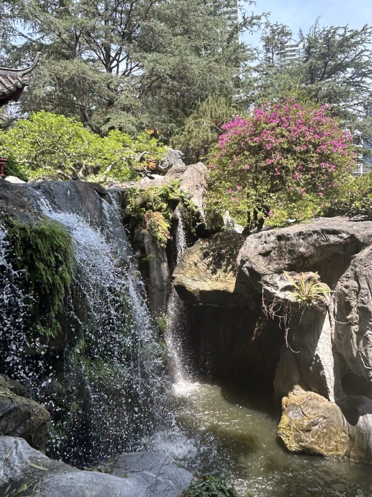 Chinese Garden of Friendship Sydney