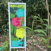 Royal Botanic Garden Sydney – ein Garten, der lebt