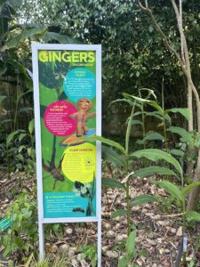 der botanische Garten in Sydney und seine ironischen Schilder