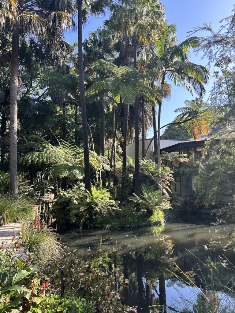 der botanische Garten und seine Palmen mit Wasserflächen