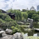 Chinese Garden of Friendship – Frühling zwischen Stein und Stille