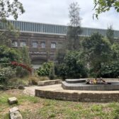 South Eveleigh – Stadtgrün mit Wurzeln